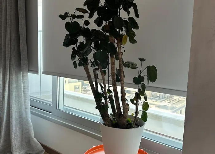 Zeus Downtown Hub With Panoramic View 尼科西亚